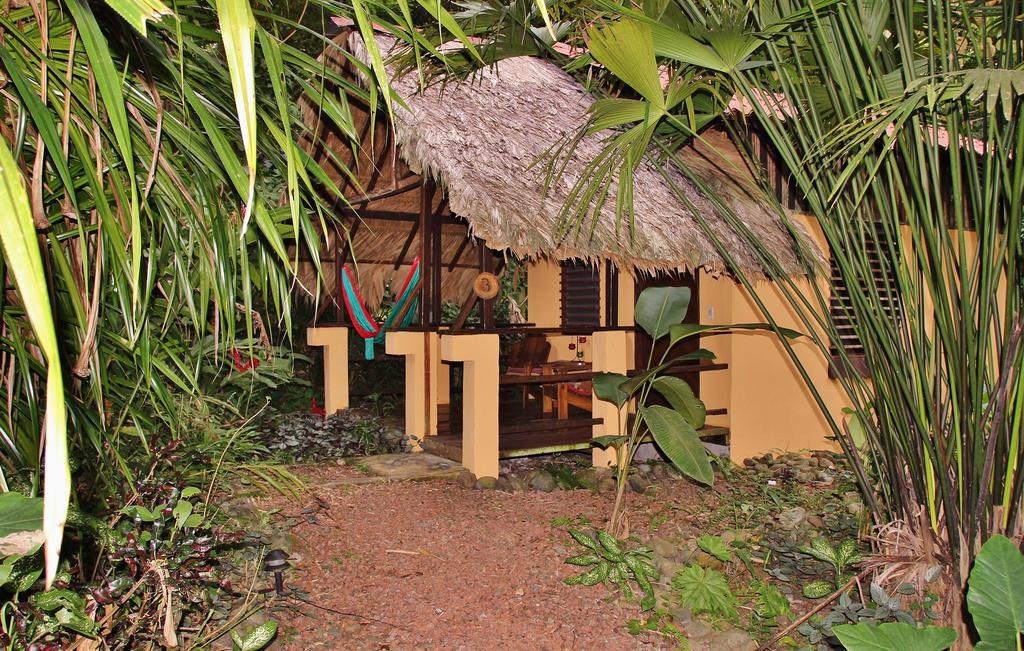 Caribe Town Bungalows Puerto Viejo de Talamanca Ruang foto